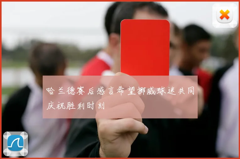 哈兰德赛后感言希望挪威球迷共同庆祝胜利时刻
